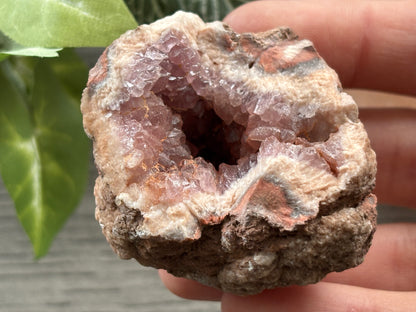 Pink Amethyst Geode Crystal Cluster (M)
