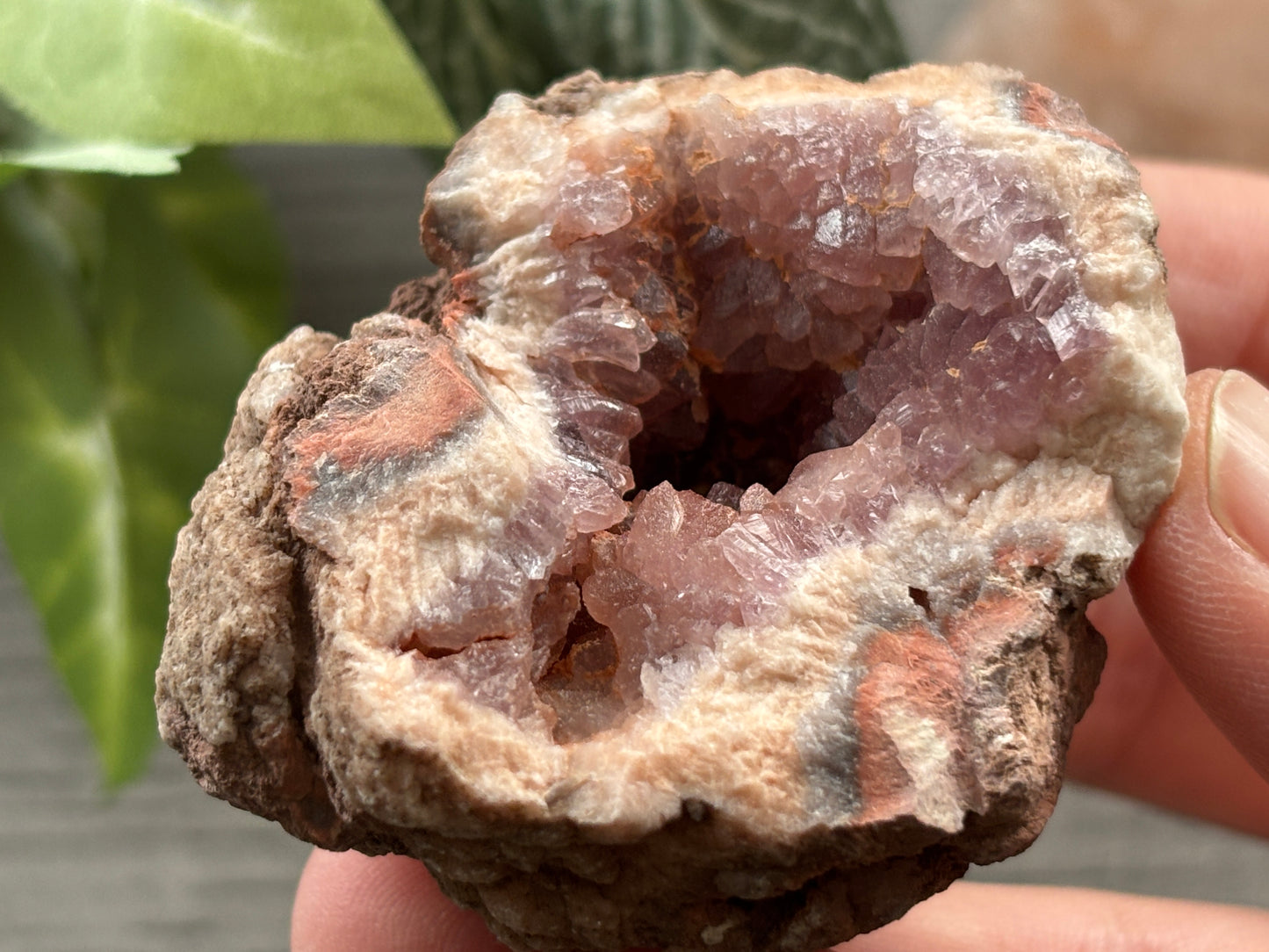 Pink Amethyst Geode Crystal Cluster (M)