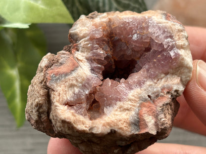 Pink Amethyst Geode Crystal Cluster (M)