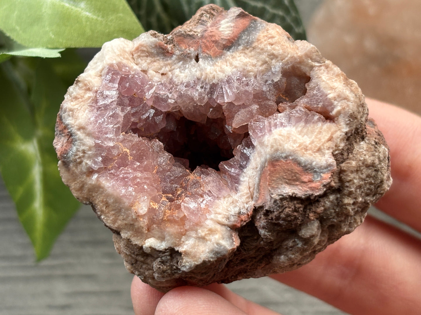 Pink Amethyst Geode Crystal Cluster (M)