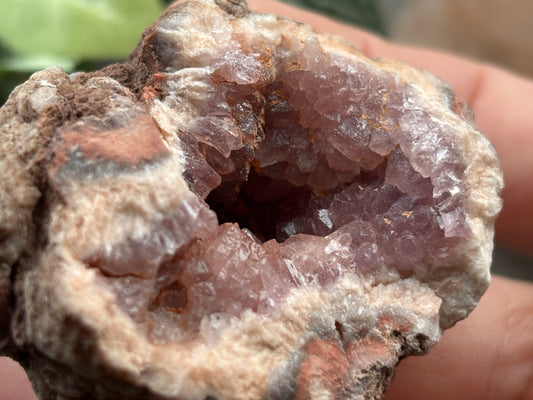 Pink Amethyst Geode Crystal Cluster (M)