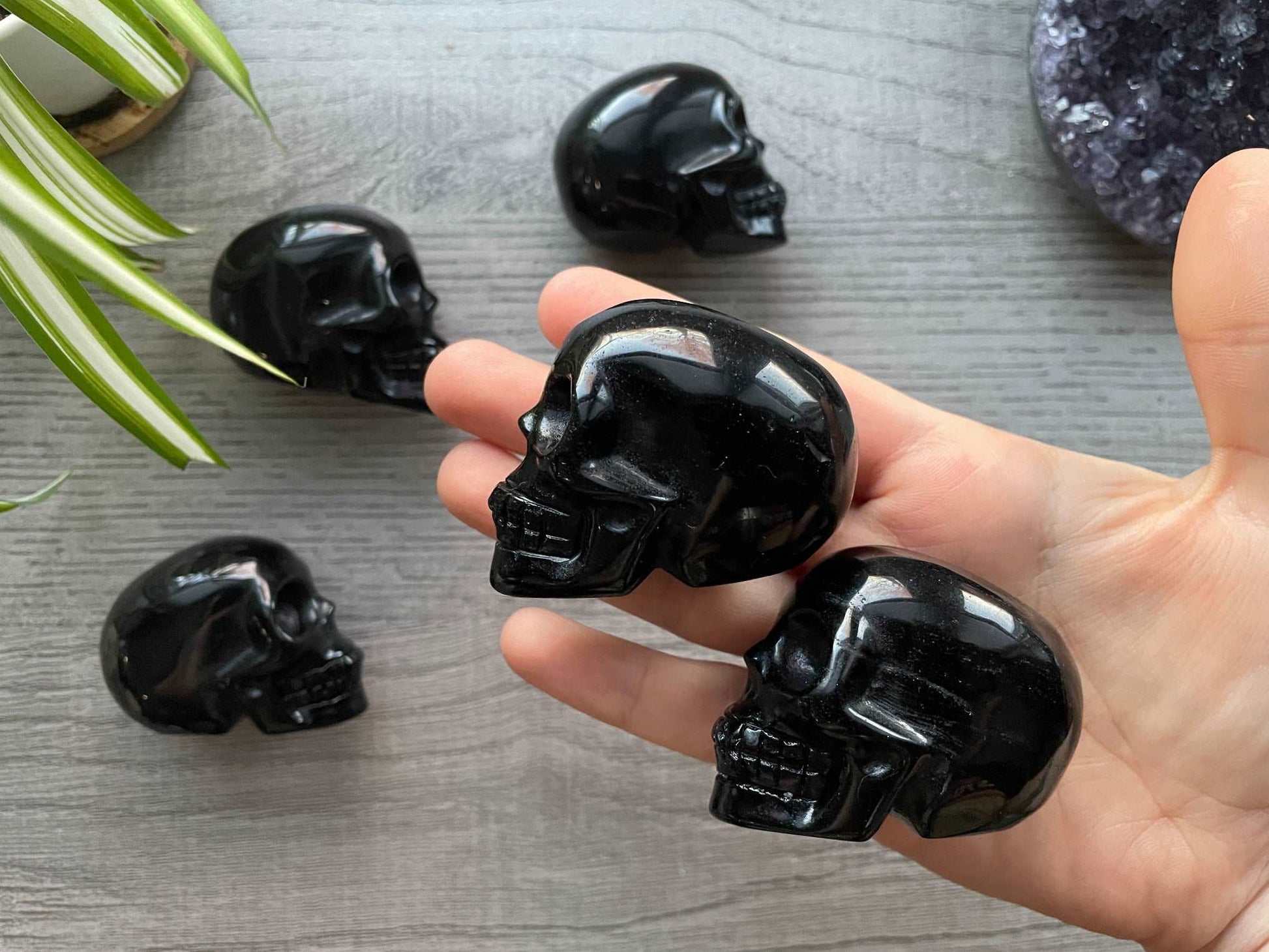 Pictured are various small Black Obsidian Skull (5.5cm-6cm) - The Wandering Fox Emporium, Your Crystal Store sidecarved out of black obsidian.