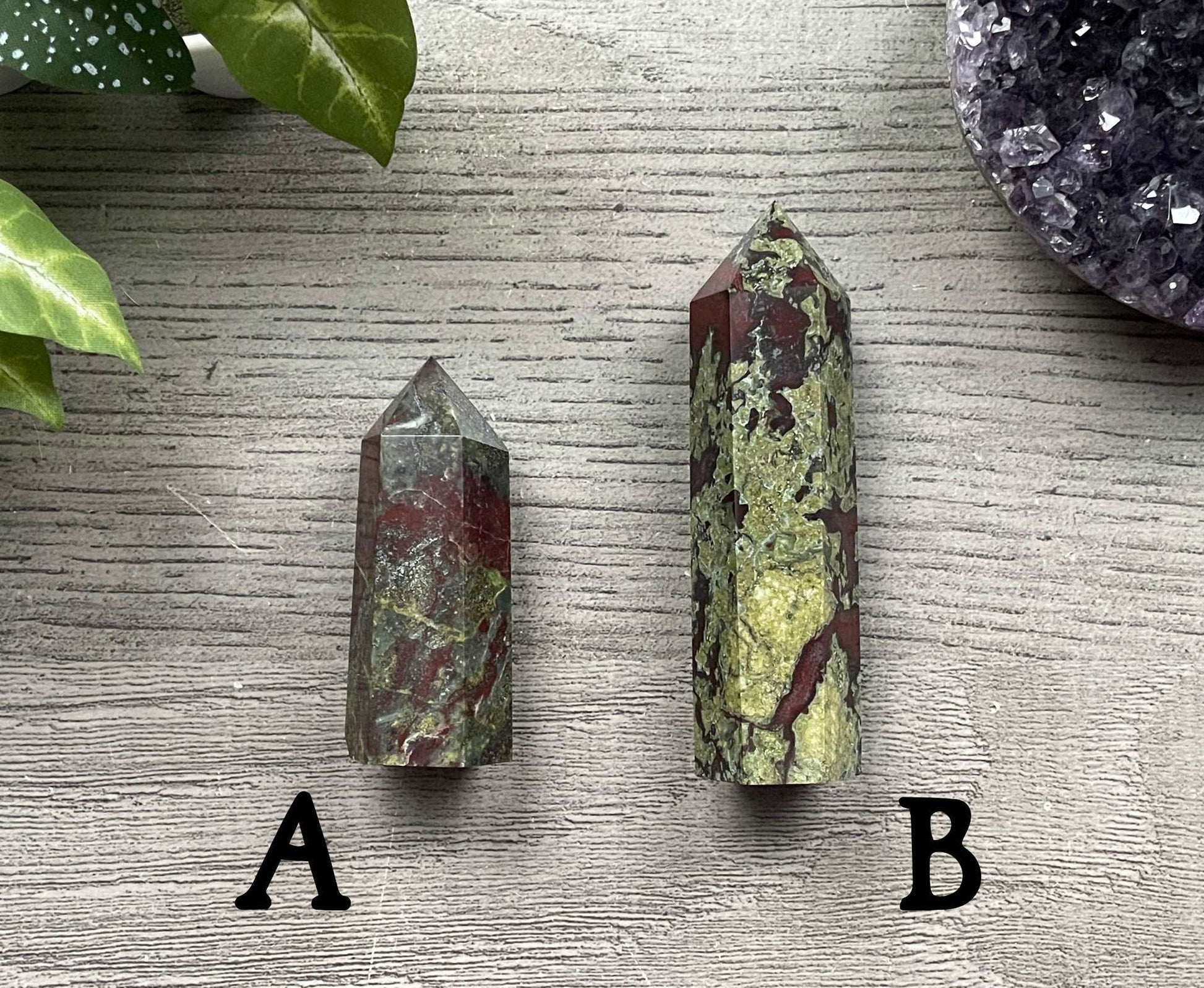 Dragon Bloodstone Crystal Point back