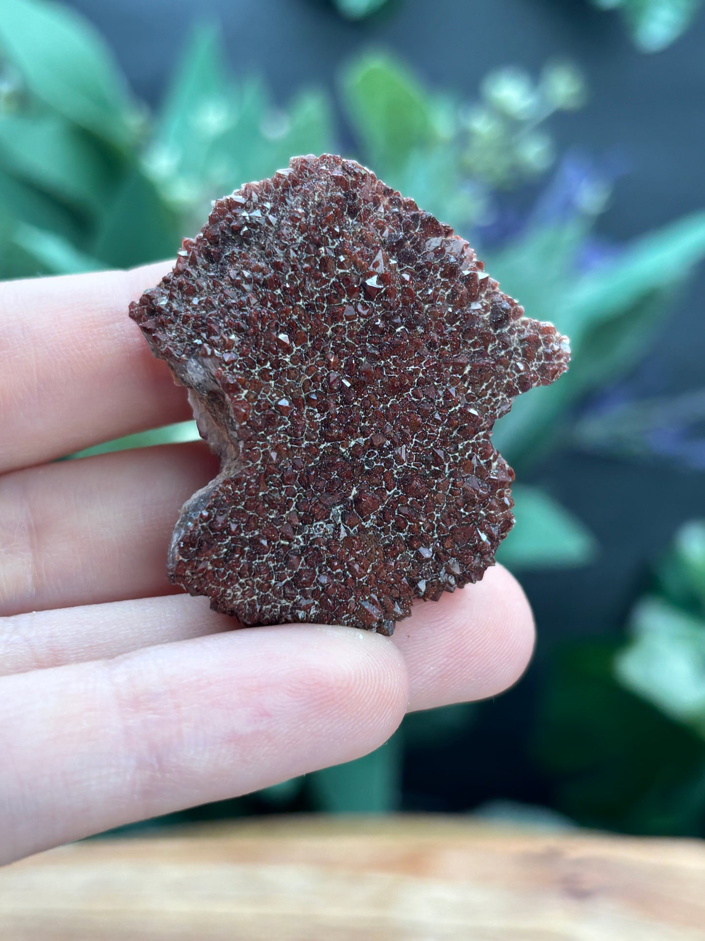 Thunder Bay Red Amethyst Crystal Cluster (B) - The Wandering Fox Emporium, Your Crystal Store