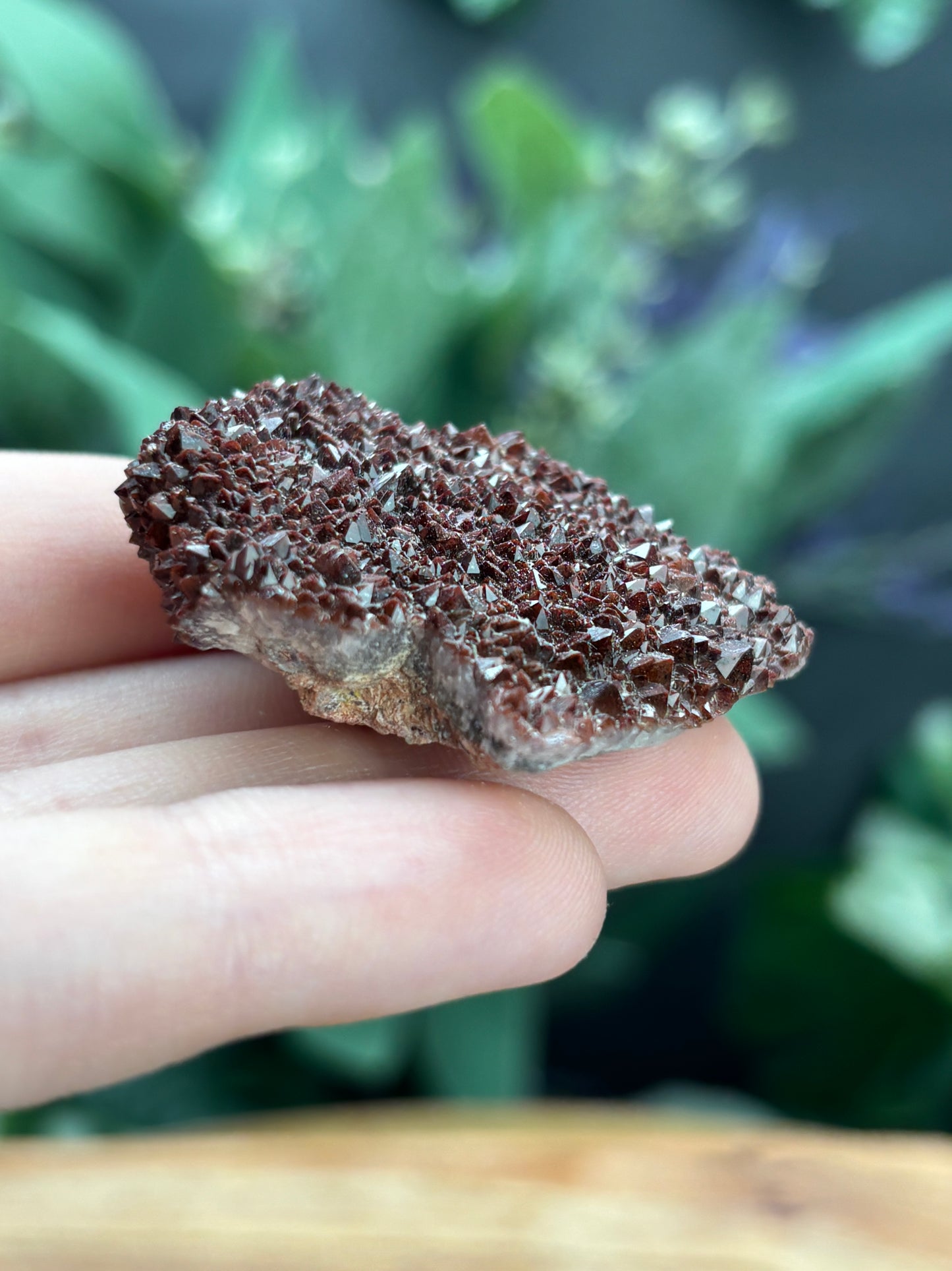 Thunder Bay Red Amethyst Crystal Cluster (B) - The Wandering Fox Emporium, Your Crystal Store