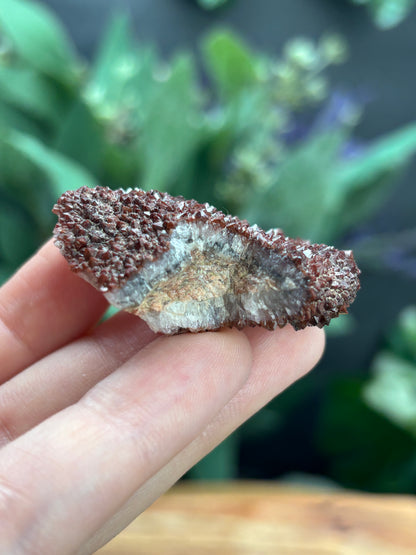 Thunder Bay Red Amethyst Crystal Cluster (B) - The Wandering Fox Emporium, Your Crystal Store