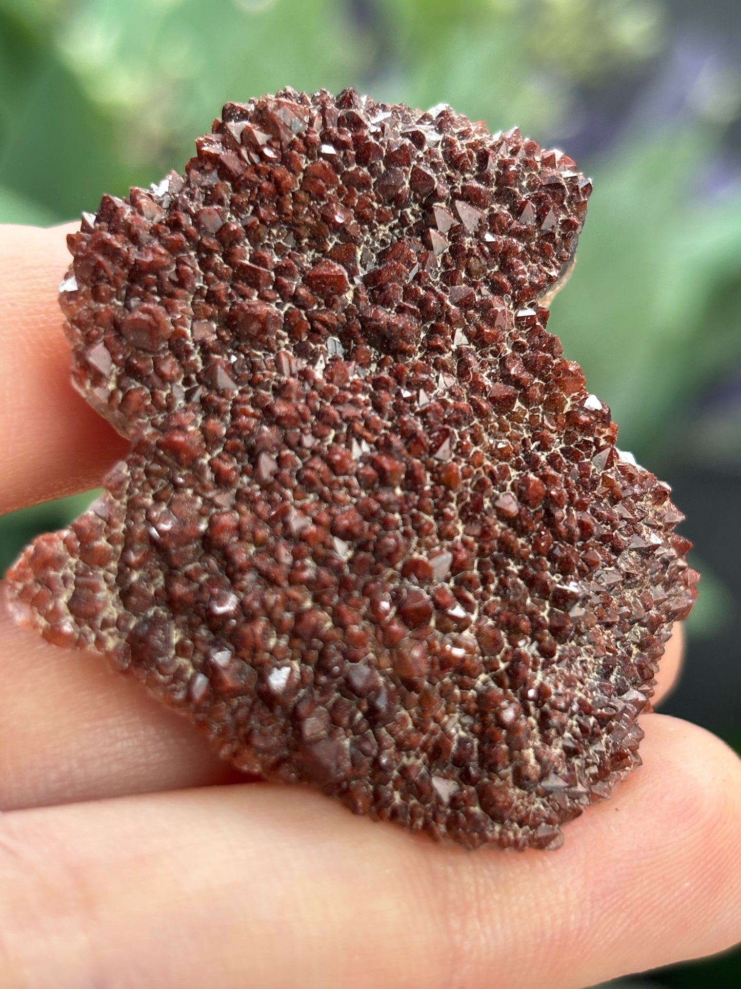 Thunder Bay Red Amethyst Crystal Cluster (B) - The Wandering Fox Emporium, Your Crystal Store
