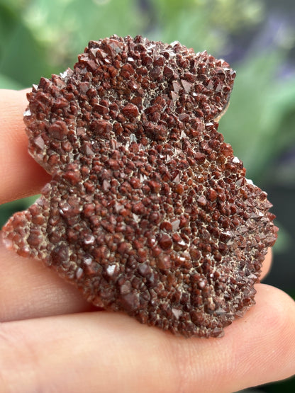 Thunder Bay Red Amethyst Crystal Cluster (B) - The Wandering Fox Emporium, Your Crystal Store