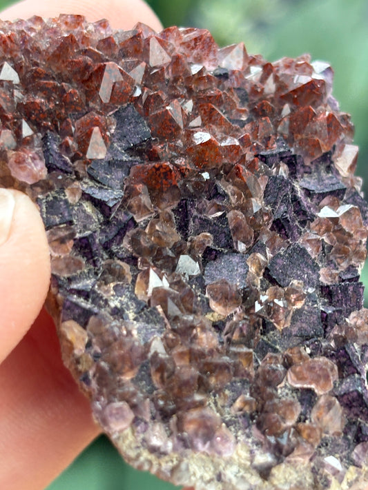 Thunder Bay Red Amethyst Crystal Cluster (D) | The Wandering Fox Emporium