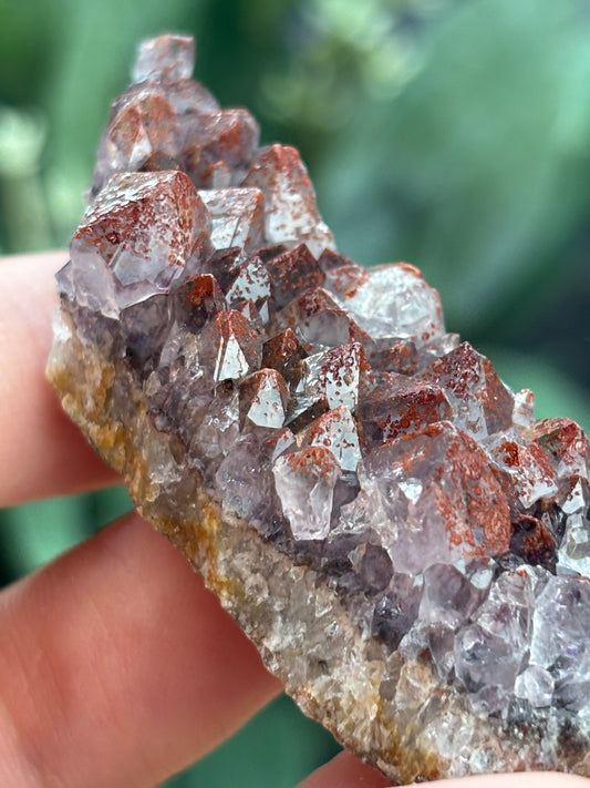 Thunder Bay Red Amethyst Crystal Cluster (F) | The Wandering Fox Emporium