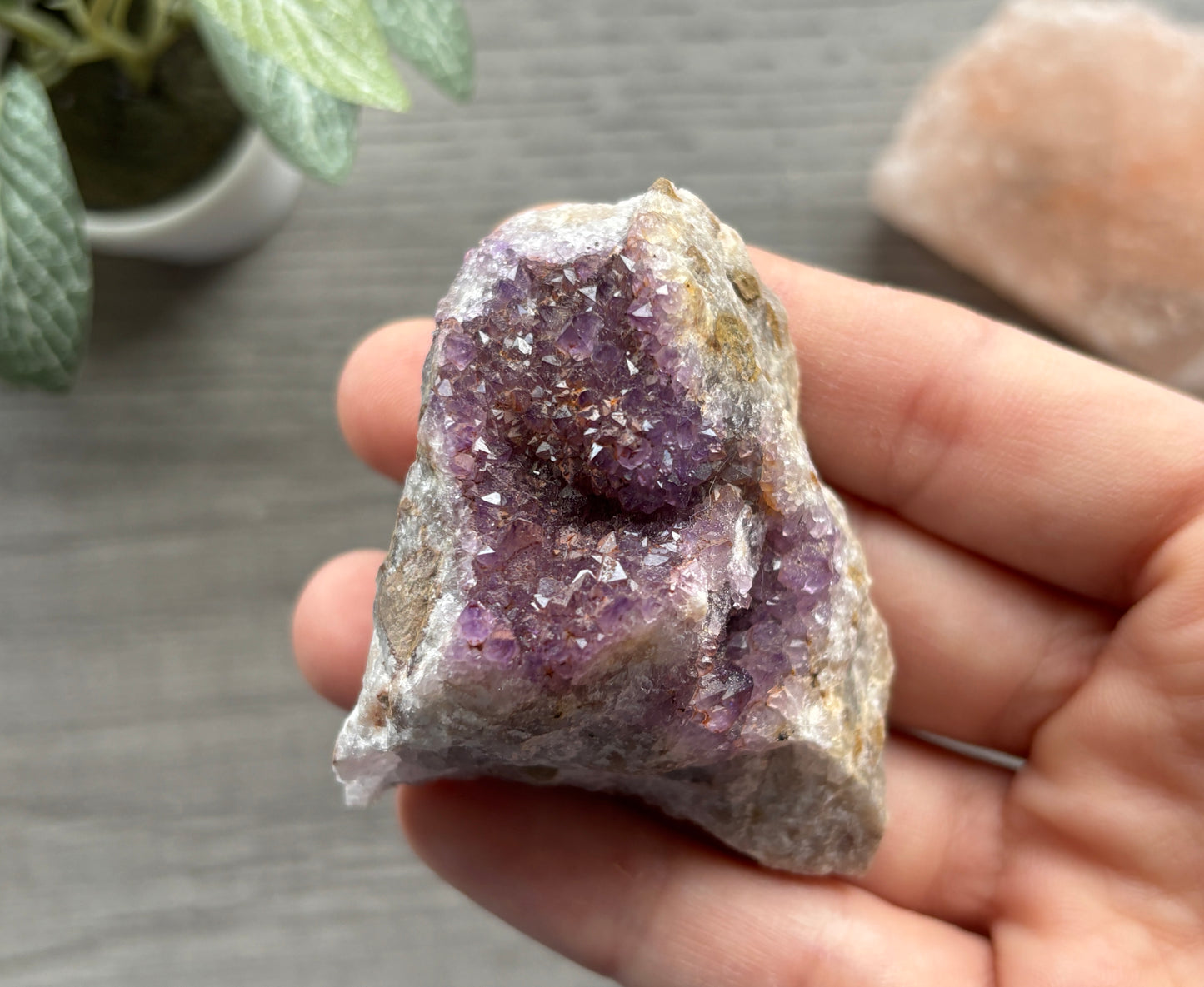 Thunder Bay Amethyst Crystal Cluster (I) - The Wandering Fox Emporium, Your Crystal Store