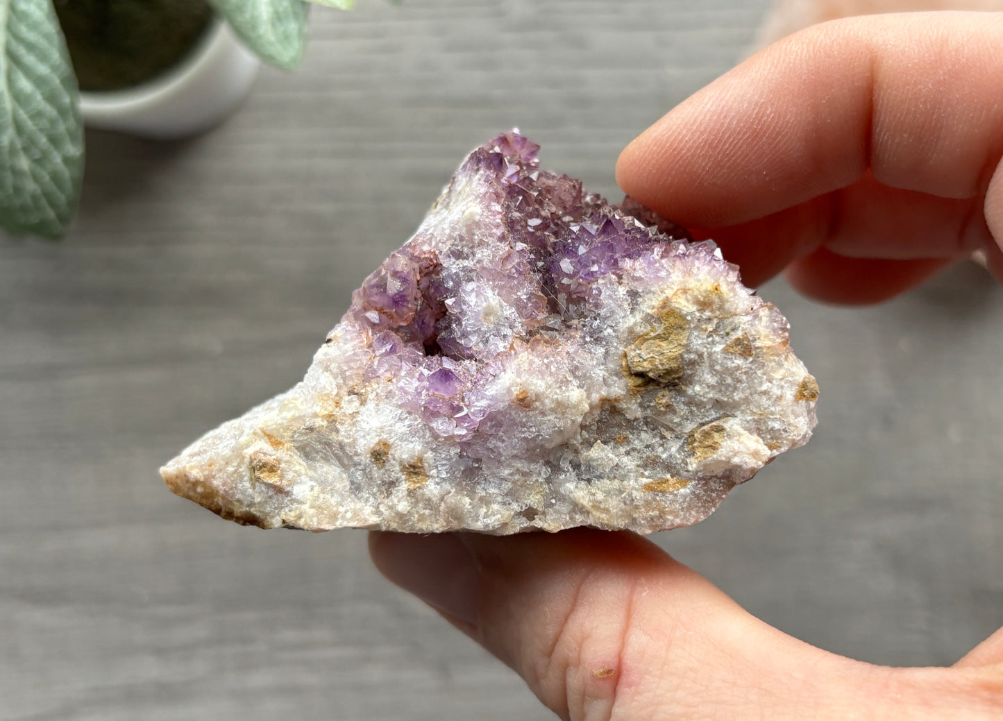 Thunder Bay Amethyst Crystal Cluster (I) - The Wandering Fox Emporium, Your Crystal Store