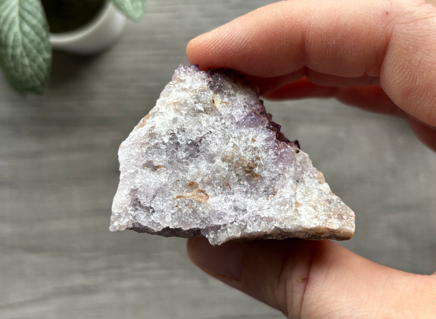 Thunder Bay Amethyst Crystal Cluster (I) - The Wandering Fox Emporium, Your Crystal Store
