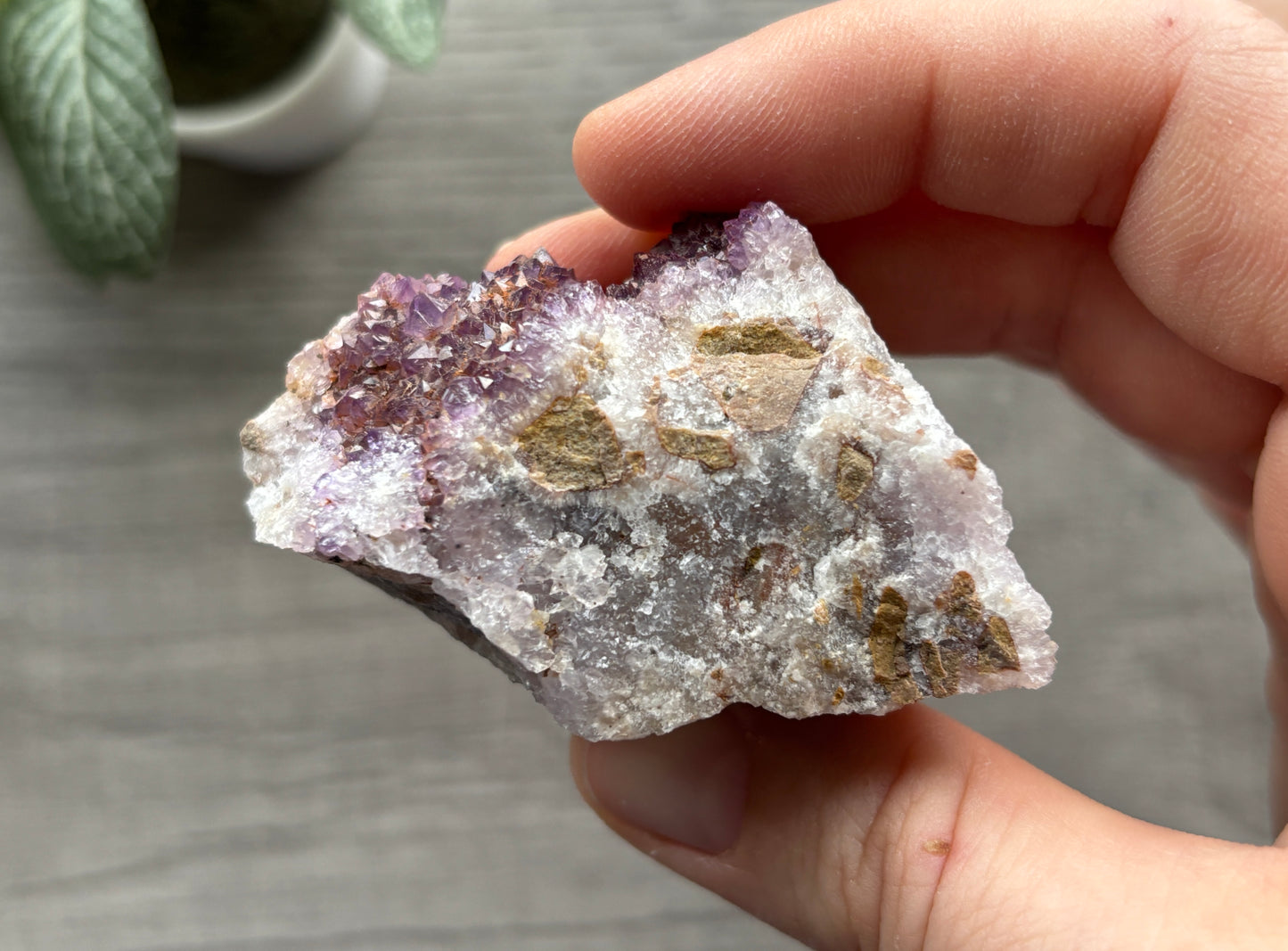 Thunder Bay Amethyst Crystal Cluster (I) - The Wandering Fox Emporium, Your Crystal Store