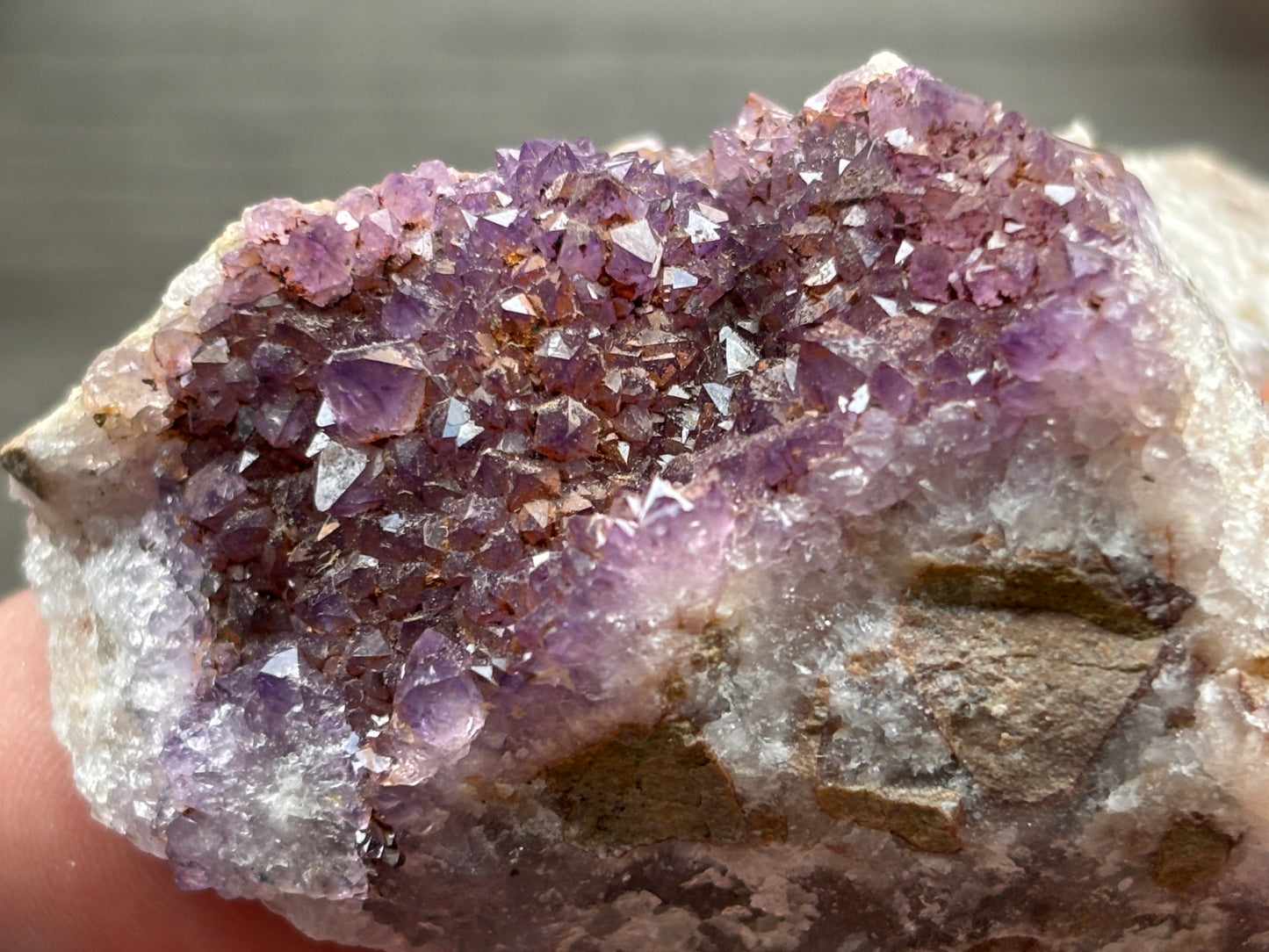 Thunder Bay Amethyst Crystal Cluster (I) - The Wandering Fox Emporium, Your Crystal Store