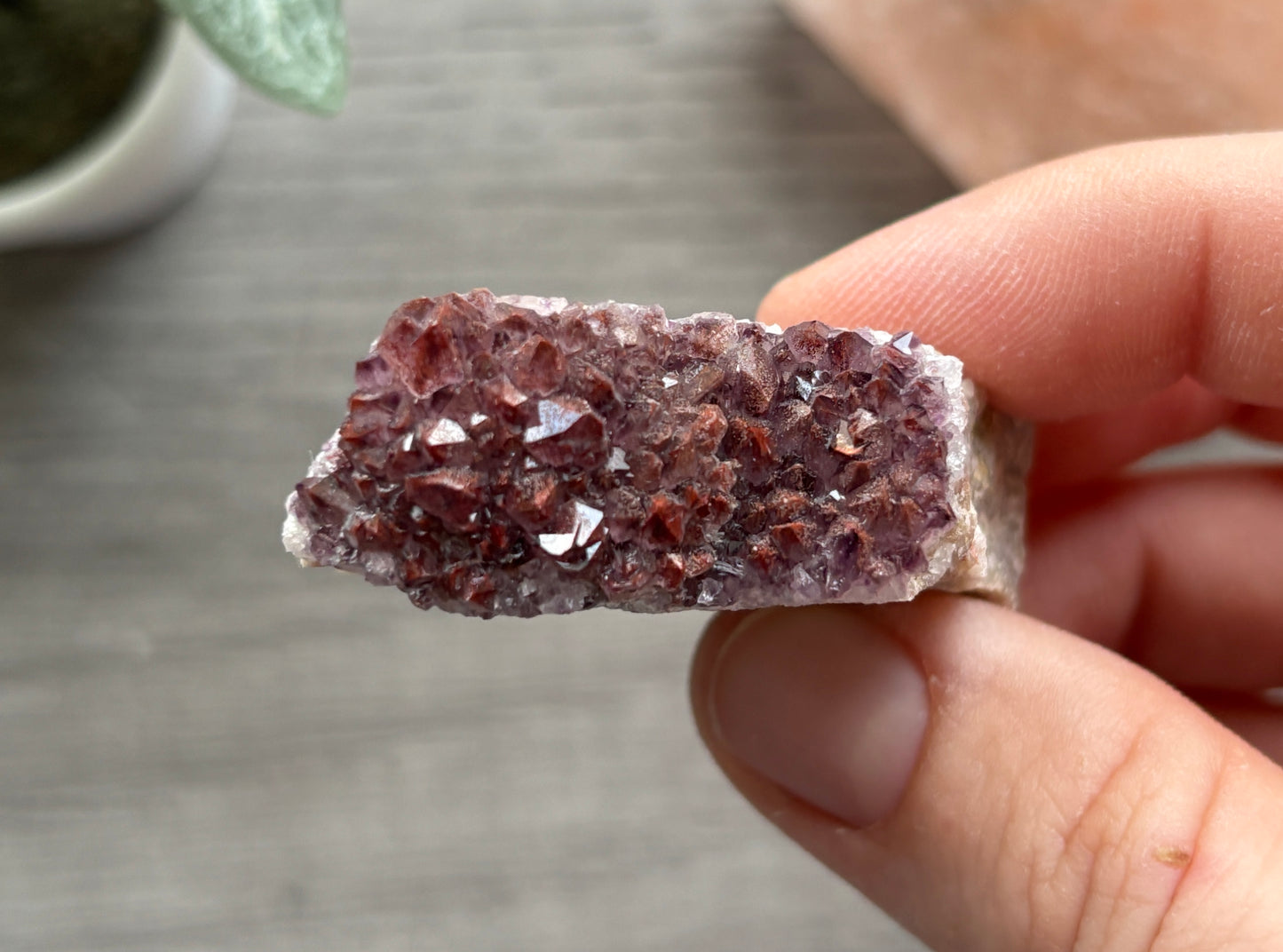 Thunder Bay Red Amethyst Crystal Cluster (N) - The Wandering Fox Emporium, Your Crystal Store
