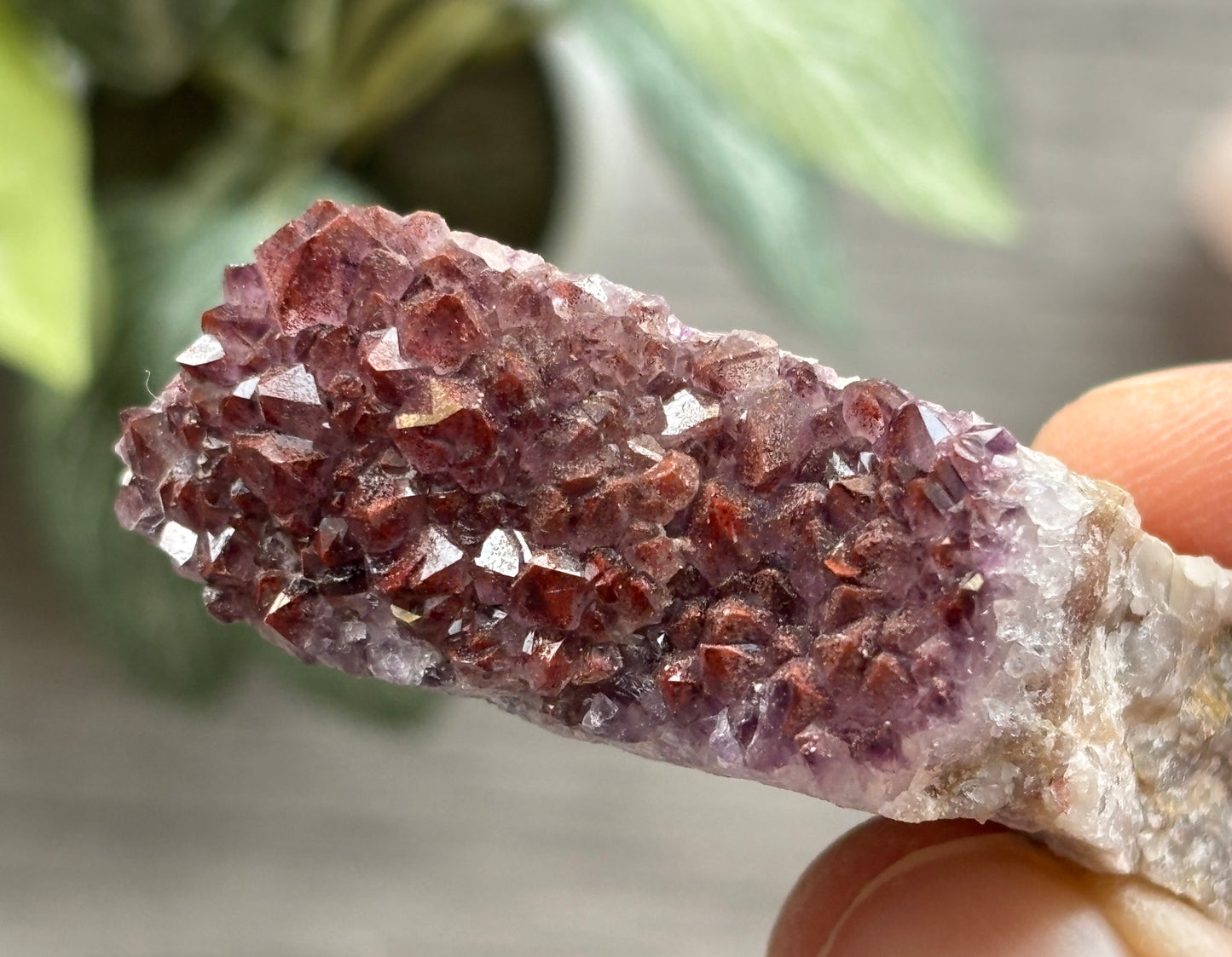 Thunder Bay Red Amethyst Crystal Cluster (N) - The Wandering Fox Emporium, Your Crystal Store