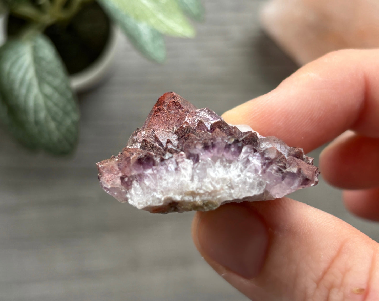 Thunder Bay Red Amethyst Crystal Cluster (O) - The Wandering Fox Emporium, Your Crystal Store