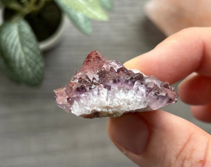 Thunder Bay Red Amethyst Crystal Cluster (O) - The Wandering Fox Emporium, Your Crystal Store