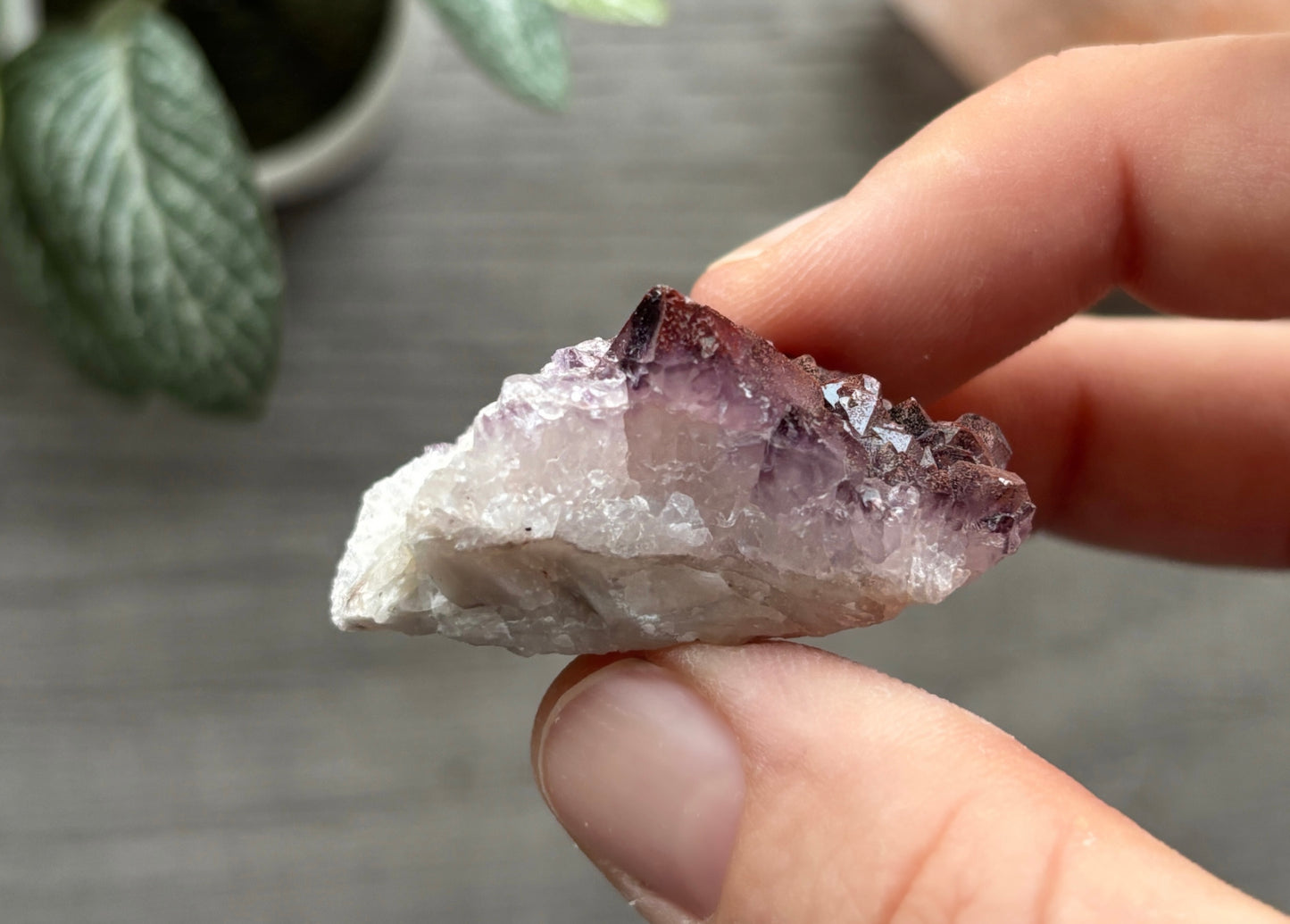 Thunder Bay Red Amethyst Crystal Cluster (O) - The Wandering Fox Emporium, Your Crystal Store