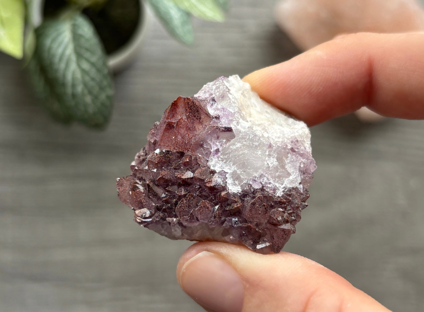 Thunder Bay Red Amethyst Crystal Cluster (O) - The Wandering Fox Emporium, Your Crystal Store