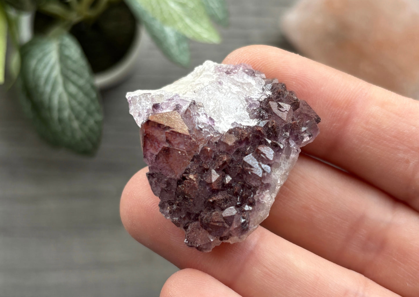Thunder Bay Red Amethyst Crystal Cluster (O) - The Wandering Fox Emporium, Your Crystal Store