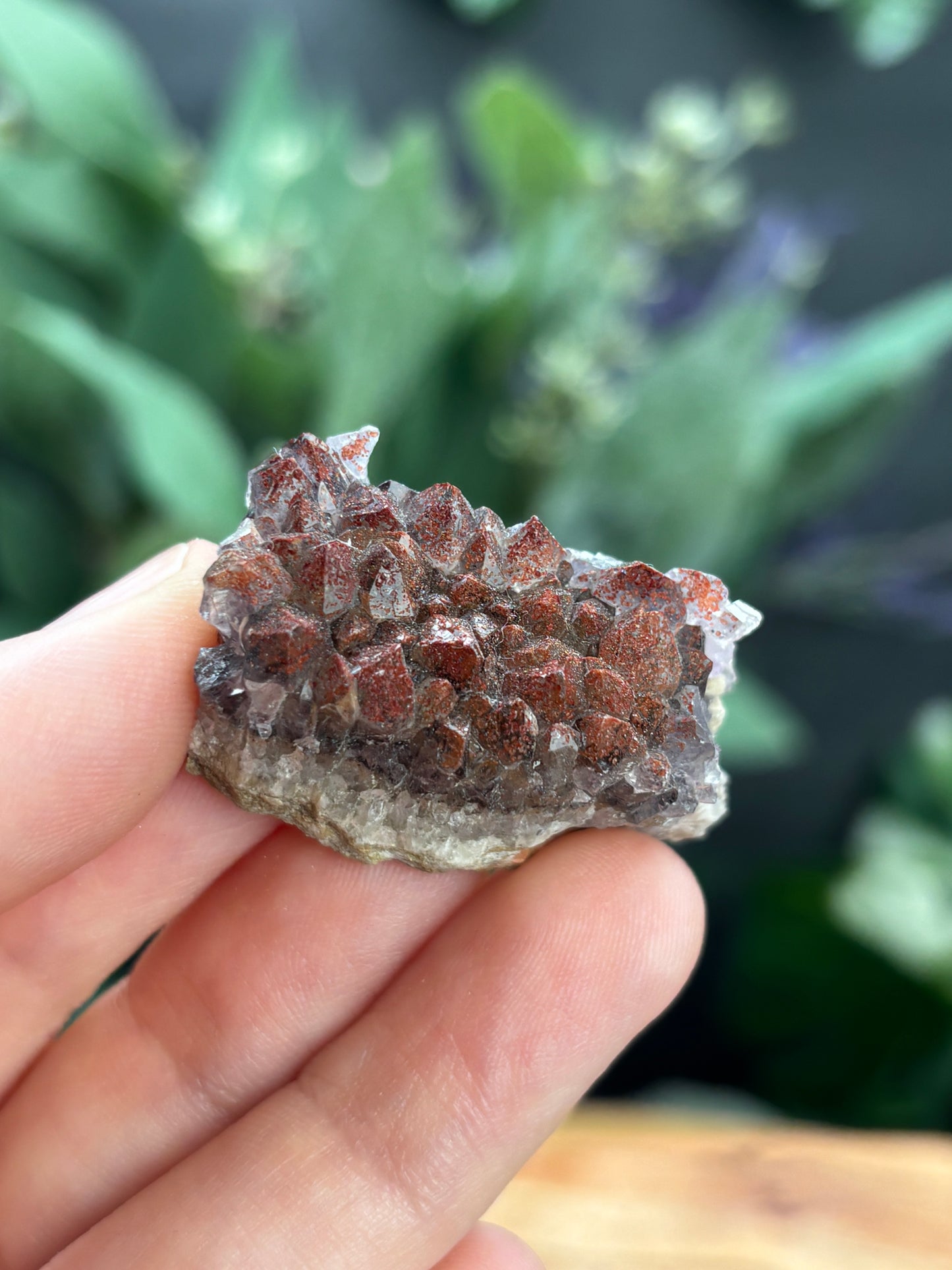 Thunder Bay Red Amethyst Crystal Cluster (A) - The Wandering Fox Emporium, Your Crystal Store