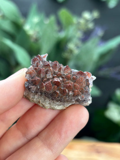 Thunder Bay Red Amethyst Crystal Cluster (A) - The Wandering Fox Emporium, Your Crystal Store