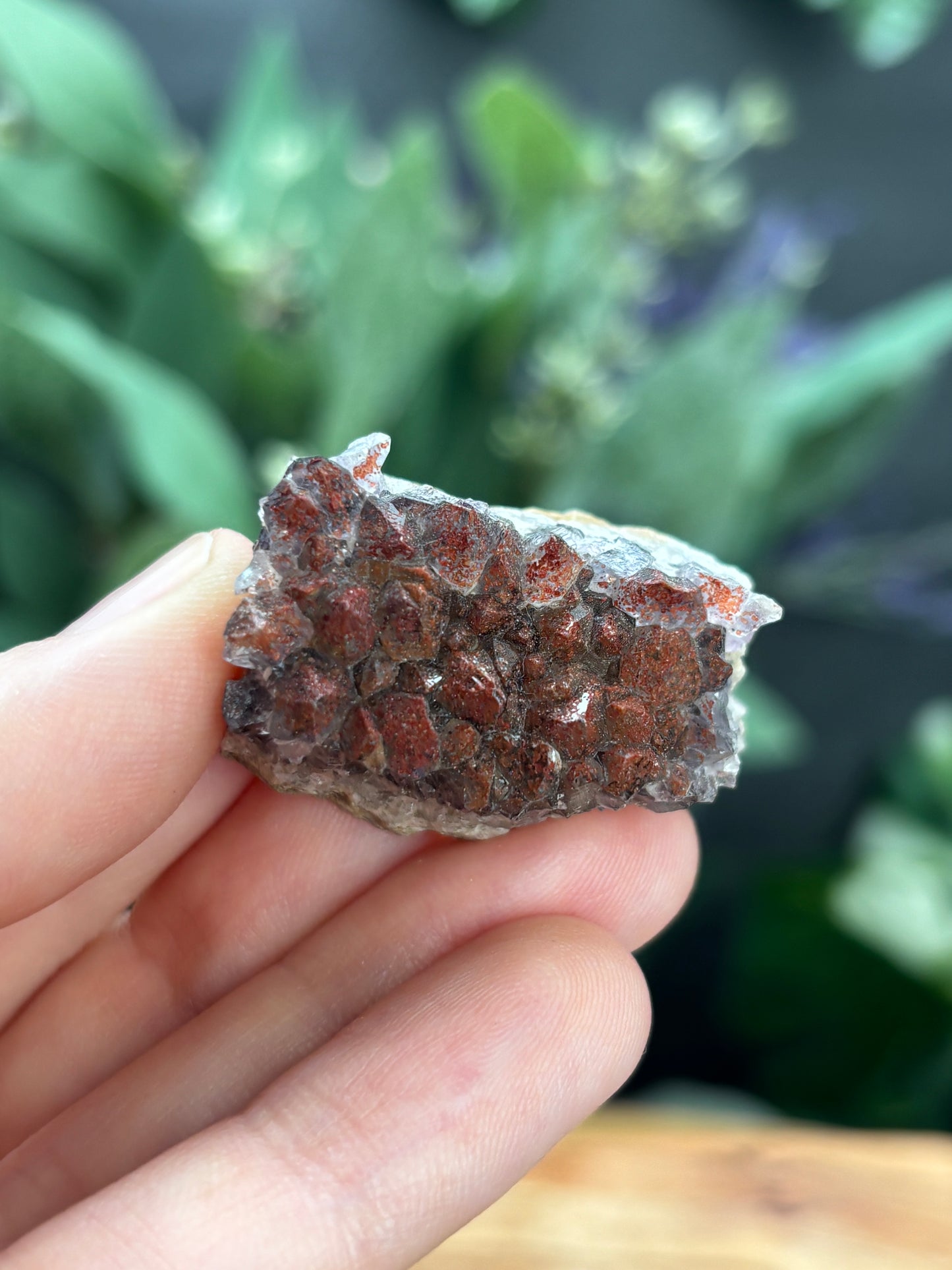 Thunder Bay Red Amethyst Crystal Cluster (A) - The Wandering Fox Emporium, Your Crystal Store