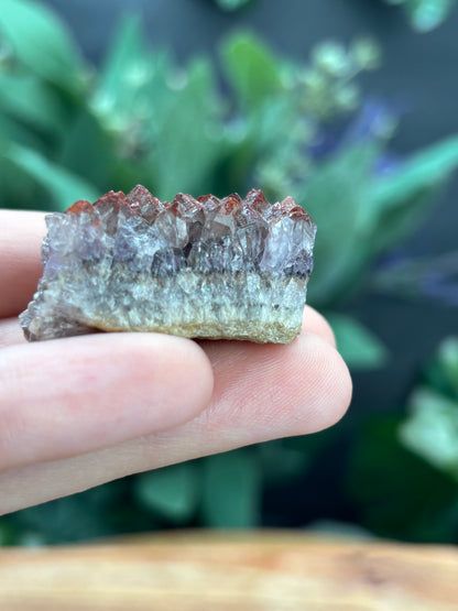 Thunder Bay Red Amethyst Crystal Cluster (A) - The Wandering Fox Emporium, Your Crystal Store