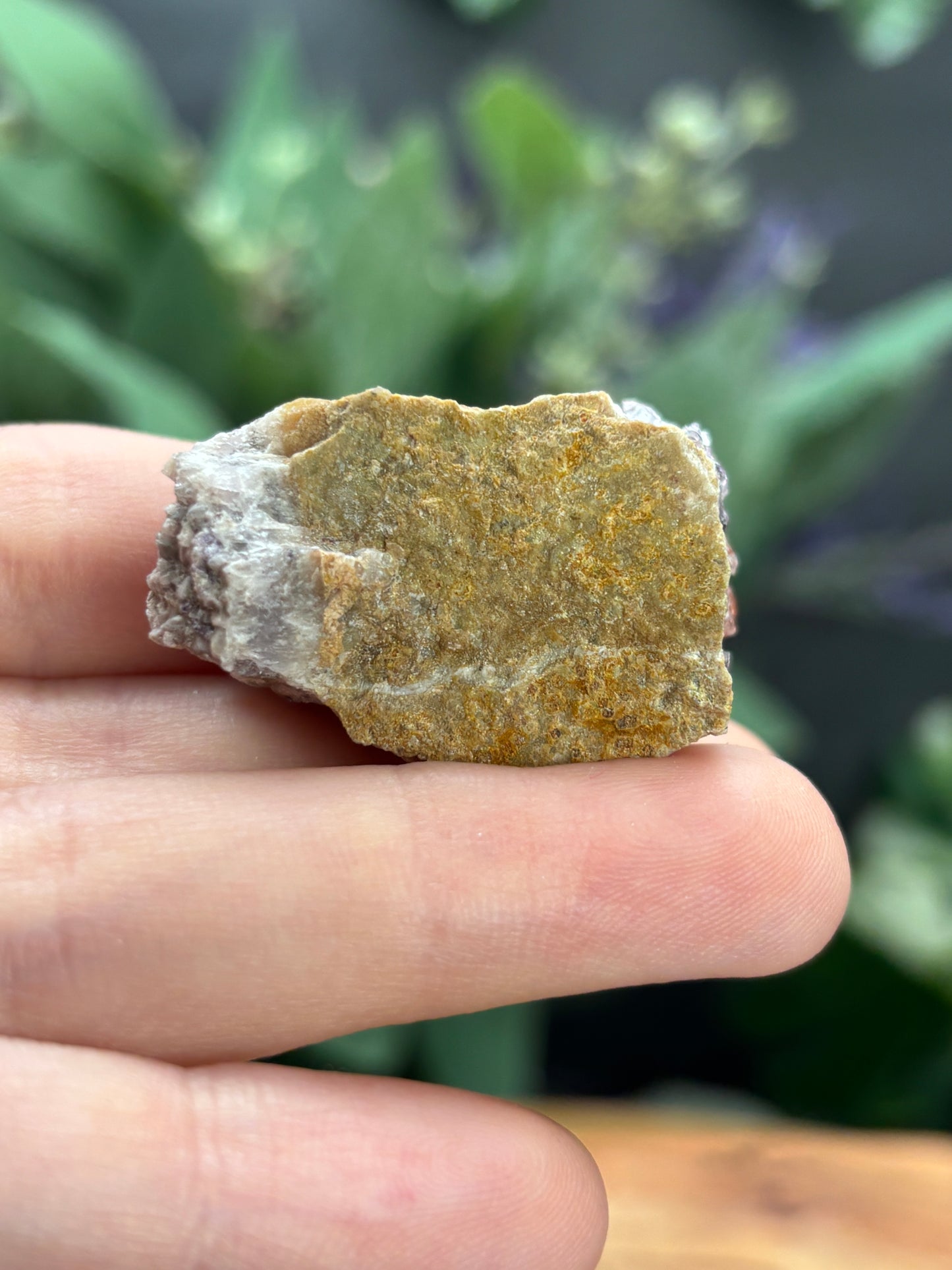 Thunder Bay Red Amethyst Crystal Cluster (A) - The Wandering Fox Emporium, Your Crystal Store