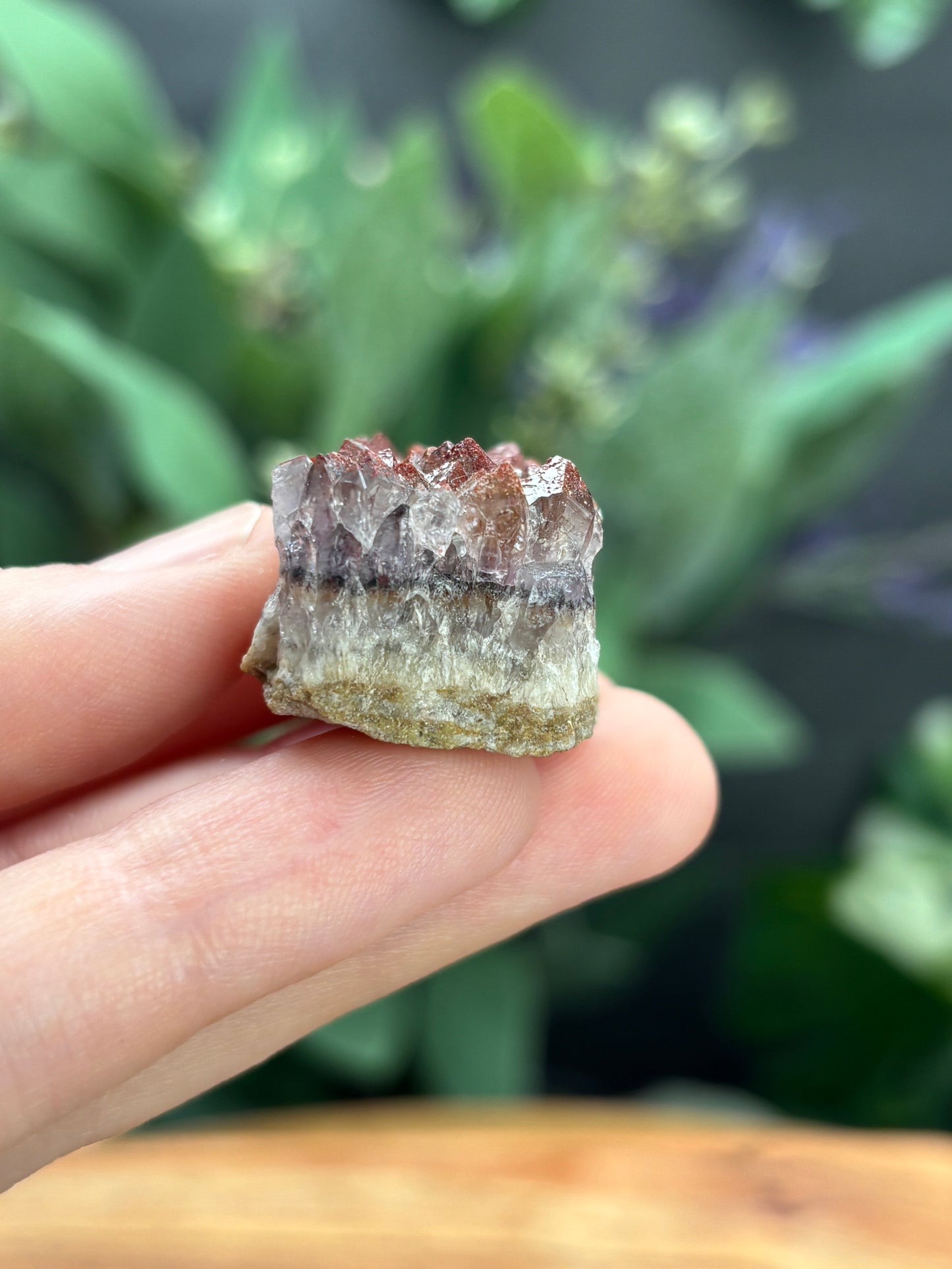 Thunder Bay Red Amethyst Crystal Cluster (A) - The Wandering Fox Emporium, Your Crystal Store