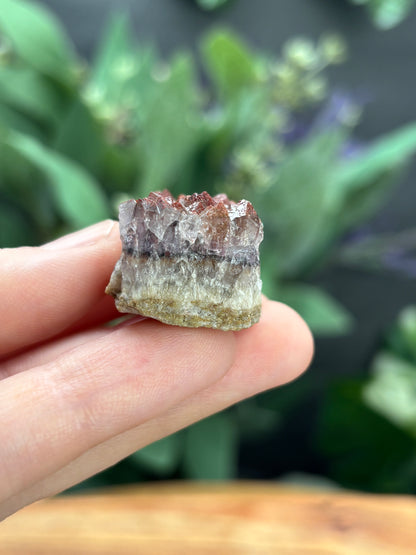Thunder Bay Red Amethyst Crystal Cluster (A) - The Wandering Fox Emporium, Your Crystal Store