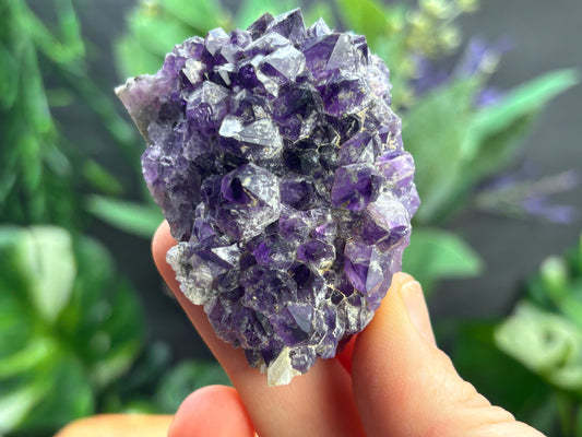 Thunder Bay Amethyst Crystal Cluster (K) | The Wandering Fox Emporium