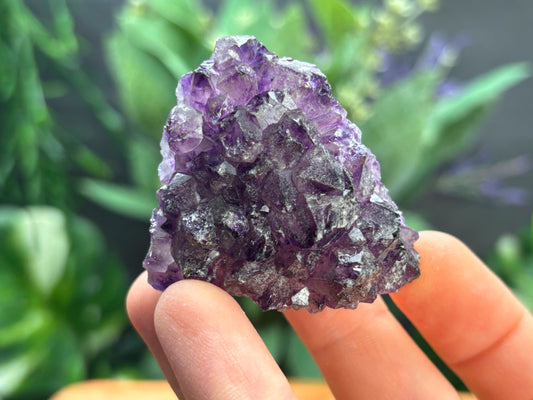 Thunder Bay Amethyst Crystal Cluster (L) | The Wandering Fox Emporium