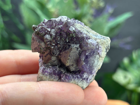 Thunder Bay Amethyst Crystal Cluster (N) | The Wandering Fox Emporium