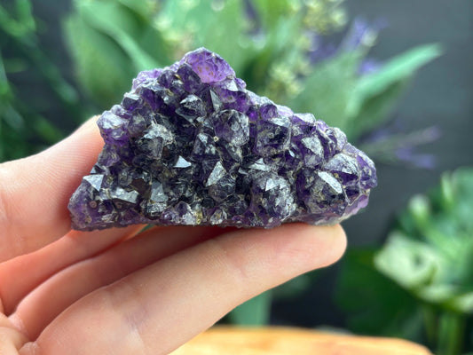Thunder Bay Amethyst Crystal Cluster (O) | The Wandering Fox Emporium