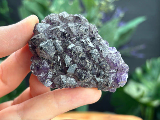 Thunder Bay Amethyst Crystal Cluster (P) | The Wandering Fox Emporium