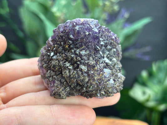 Thunder Bay Amethyst Crystal Cluster (Q) | The Wandering Fox Emporium
