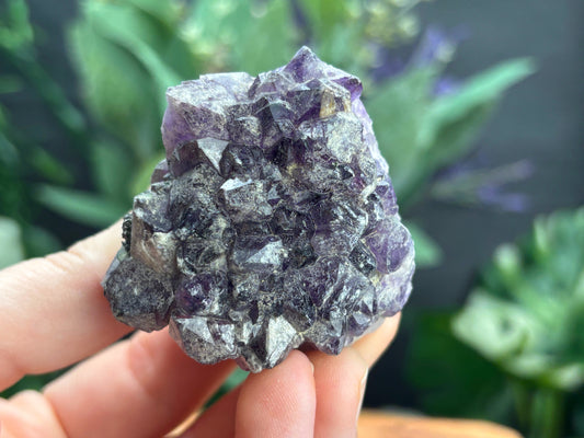 Thunder Bay Amethyst Crystal Cluster (R) | The Wandering Fox Emporium