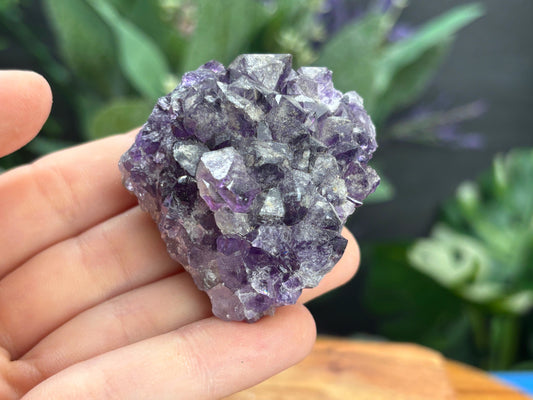 Thunder Bay Amethyst Crystal Cluster (S) | The Wandering Fox Emporium