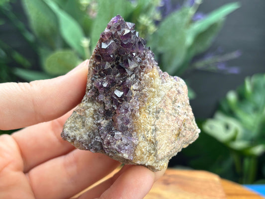 Thunder Bay Amethyst Crystal Cluster (T) | The Wandering Fox Emporium