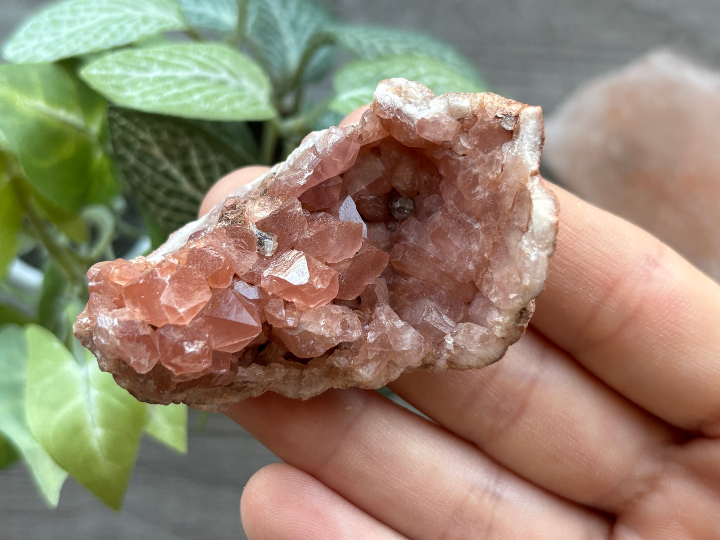 Pink Amethyst Geode Crystal Cluster (E)