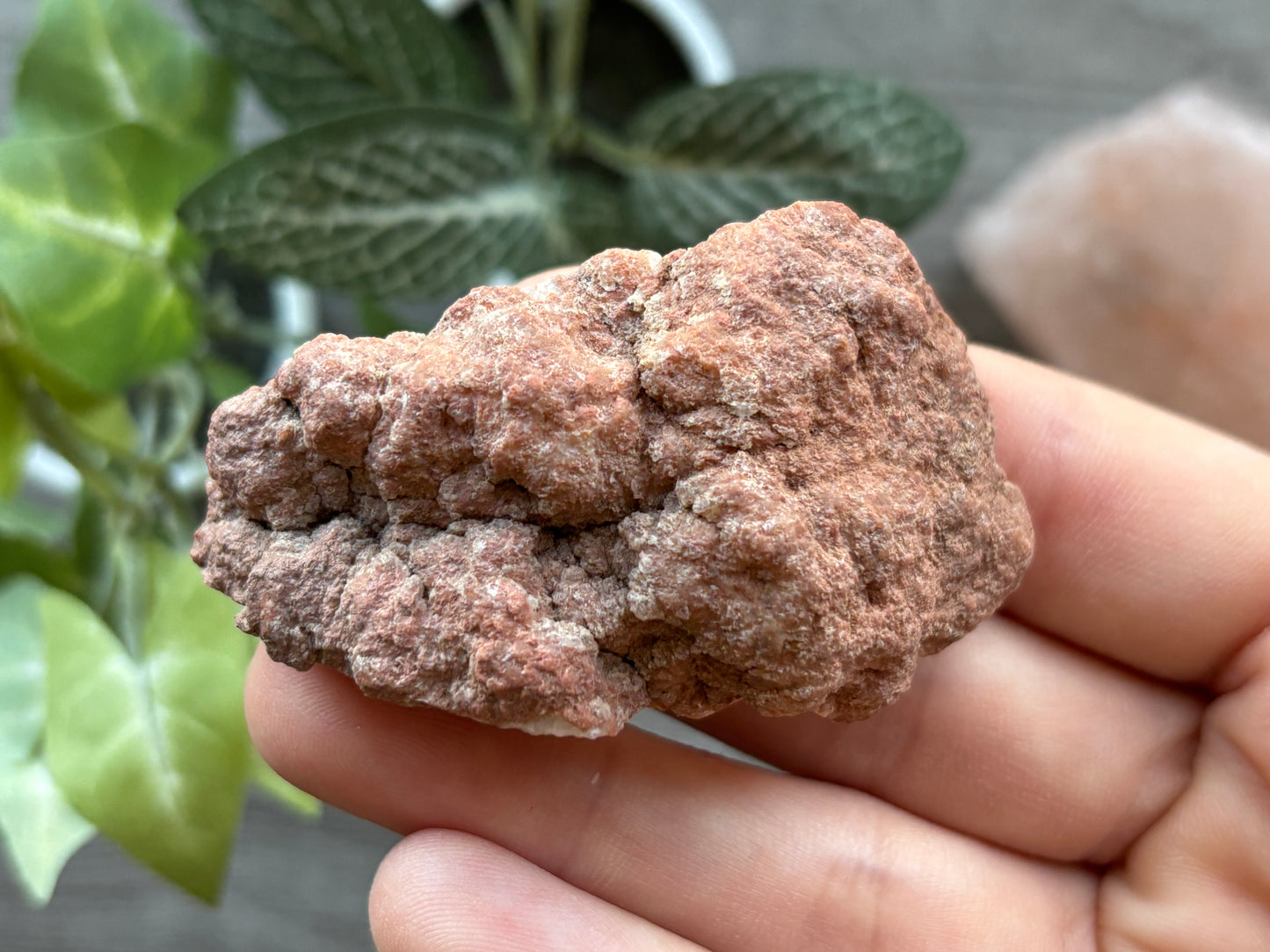 Pink Amethyst Geode Crystal Cluster (E)