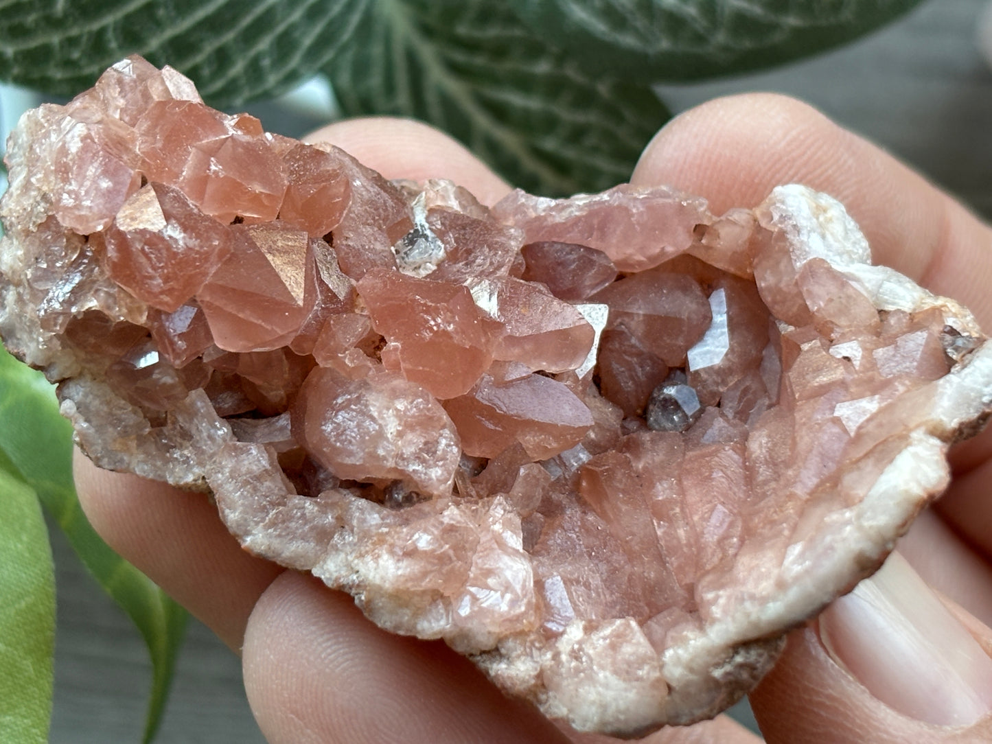 Pink Amethyst Geode Crystal Cluster (E)