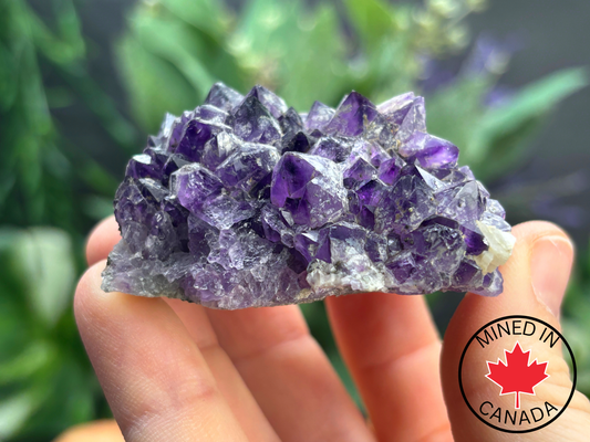 Thunder Bay Amethyst Crystal Cluster (K) - The Wandering Fox Emporium, Your Crystal Store