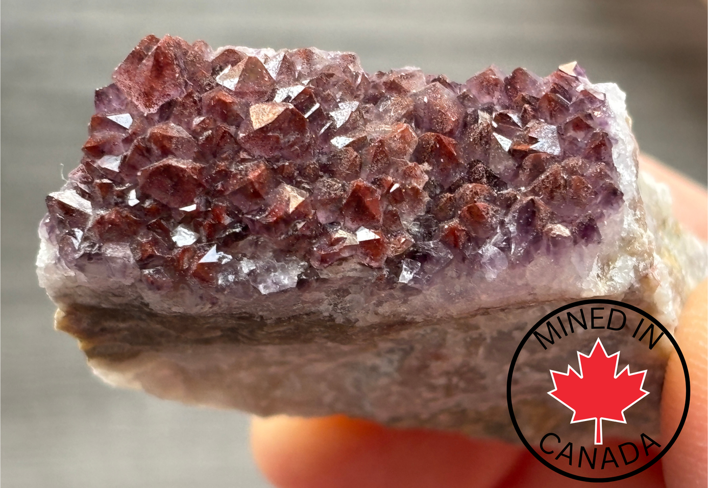 Thunder Bay Red Amethyst Crystal Cluster (N) - The Wandering Fox Emporium, Your Crystal Store
