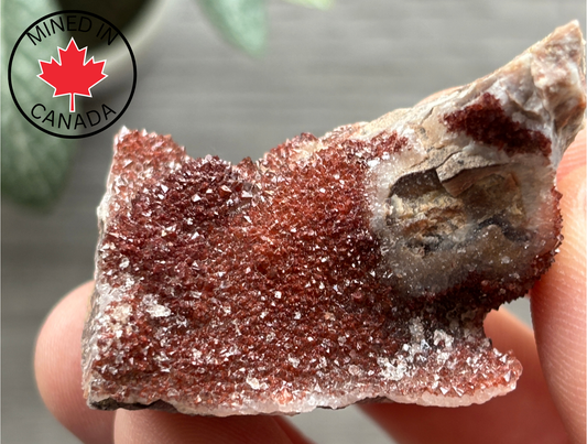 Thunder Bay Red Amethyst Crystal Cluster (L) - The Wandering Fox Emporium, Your Crystal Store