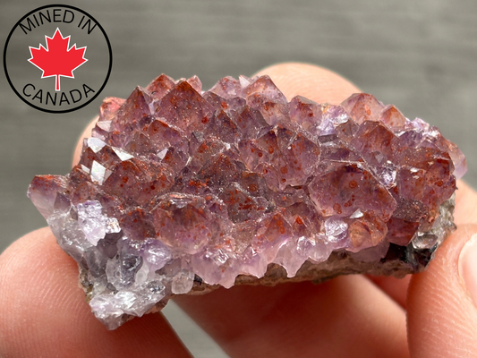 Thunder Bay Red Amethyst Crystal Cluster (J) - The Wandering Fox Emporium, Your Crystal Store