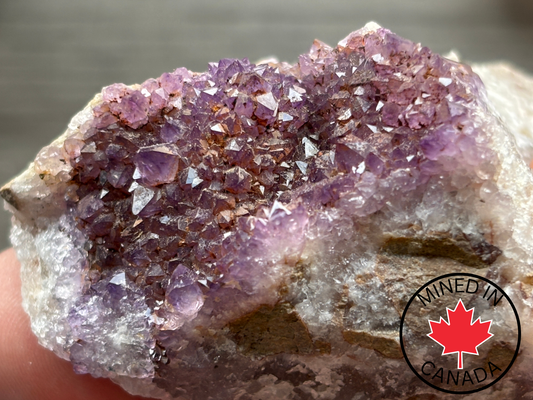 Thunder Bay Amethyst Crystal Cluster (I) - The Wandering Fox Emporium, Your Crystal Store